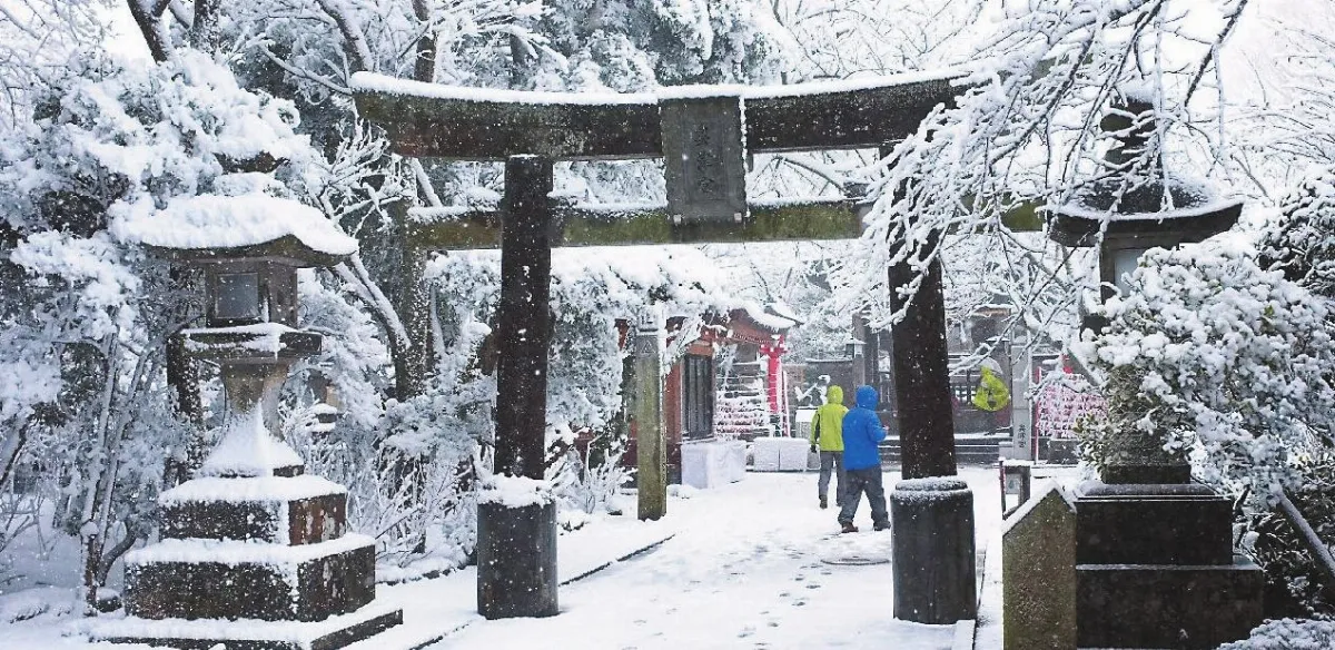 13年來最強雪災襲東京 96死傷