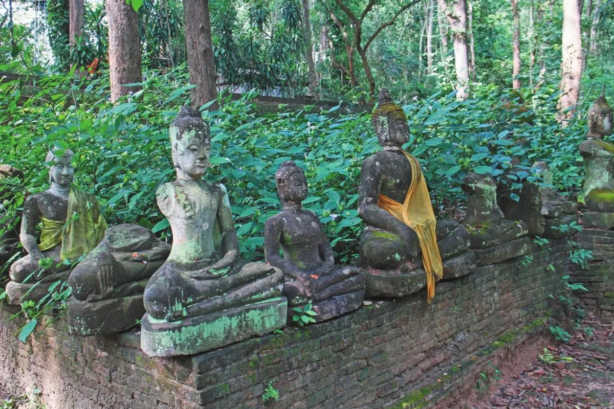 在佛法的屋子裡　清邁無夢寺4　佛佛是一
