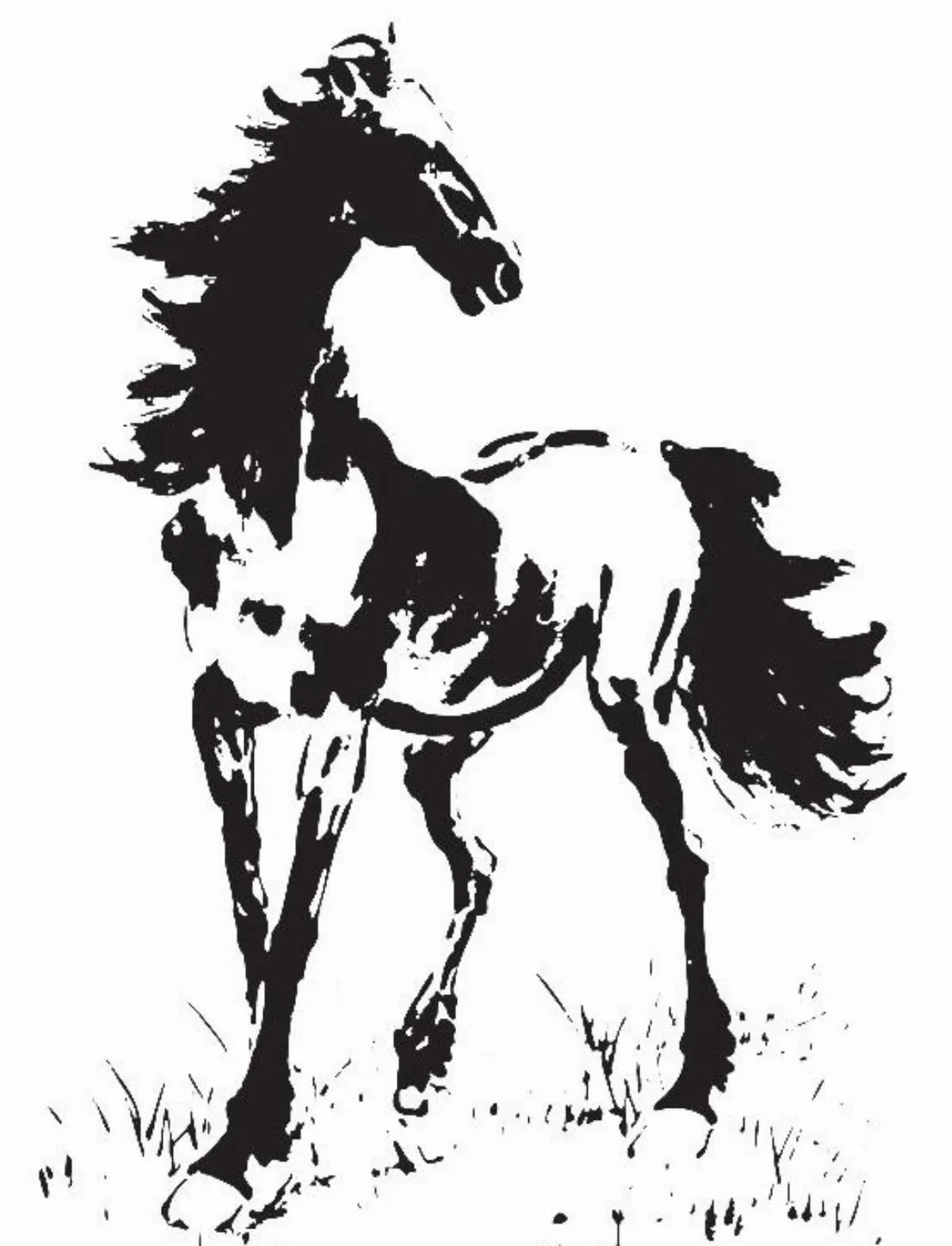 【馬年話馬】 閒話八駿和六駿