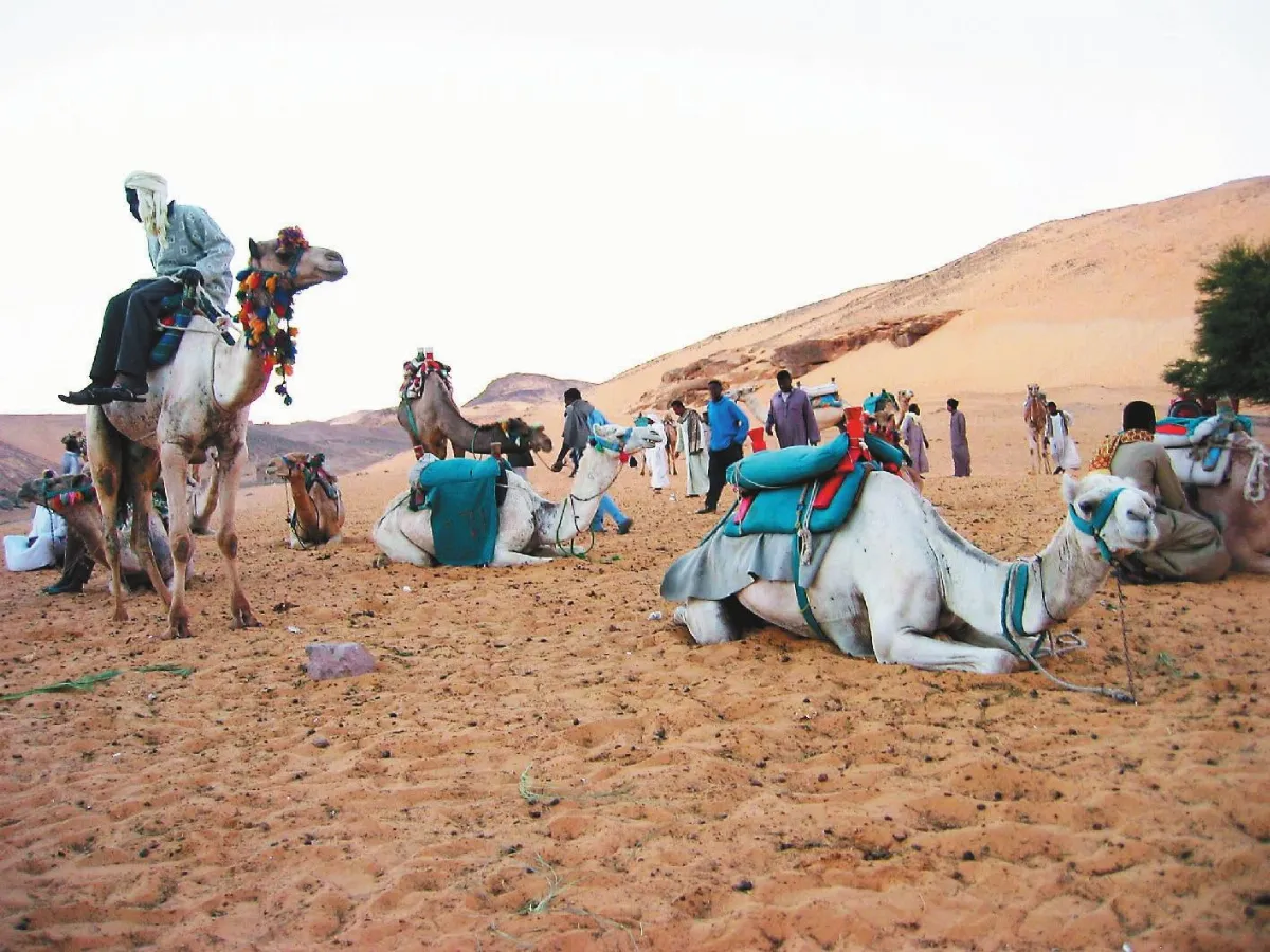 走吧！自己去旅行出國旅遊的路線規畫