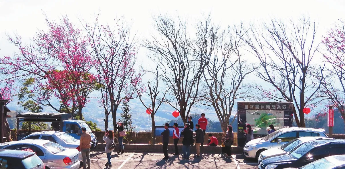春遊大湖採草莓