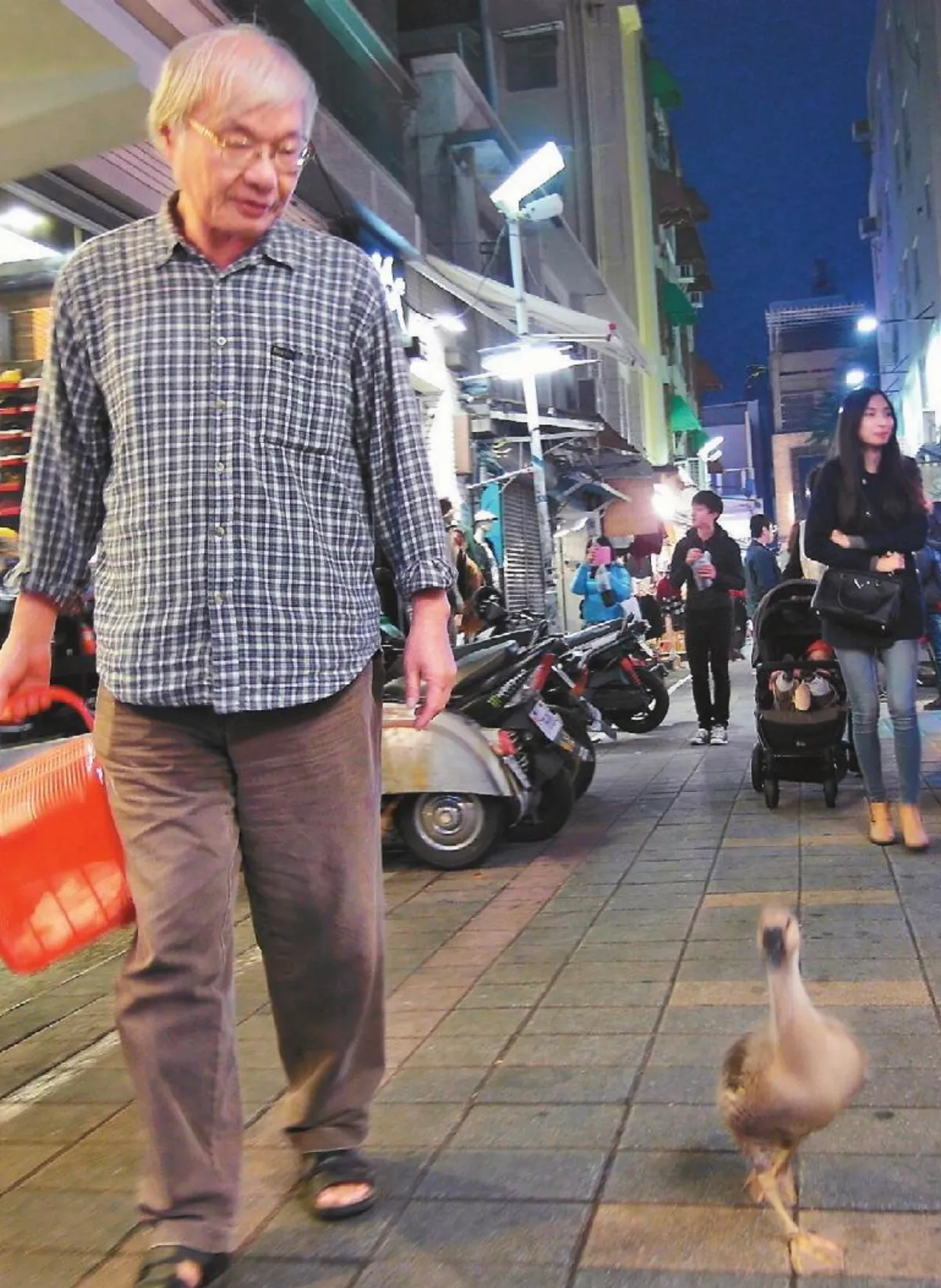 鵝寶寶逛商圈獨鍾美腿