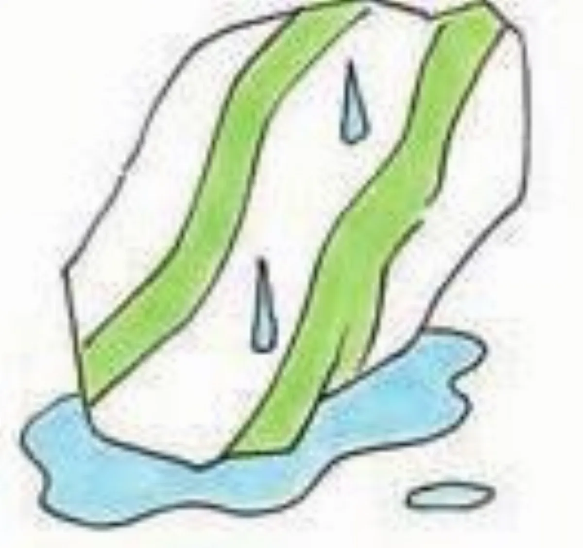 ◆阿芬家事愛地球　菠菜保鮮法