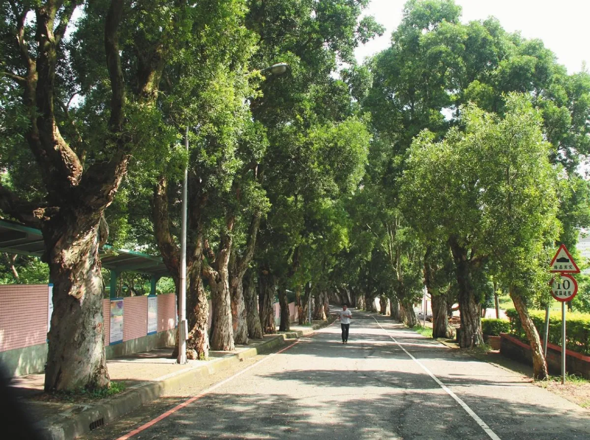 印象．旅人 林口私房景點