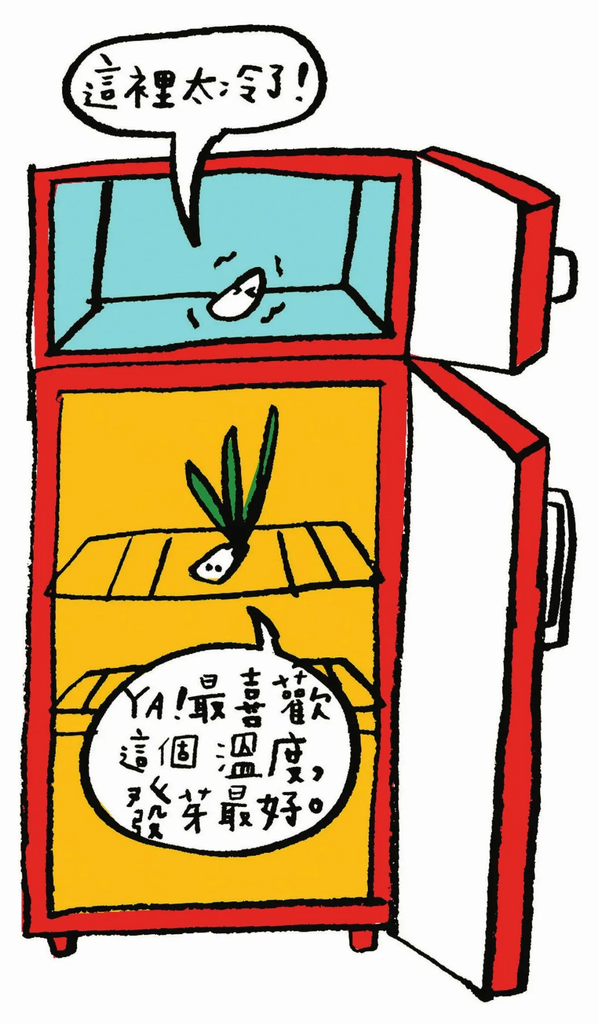 這是真的嗎？ 蒜頭不能冰！？