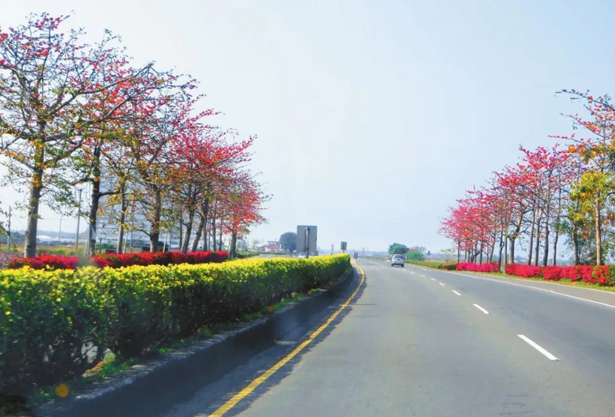 全國公路我最平