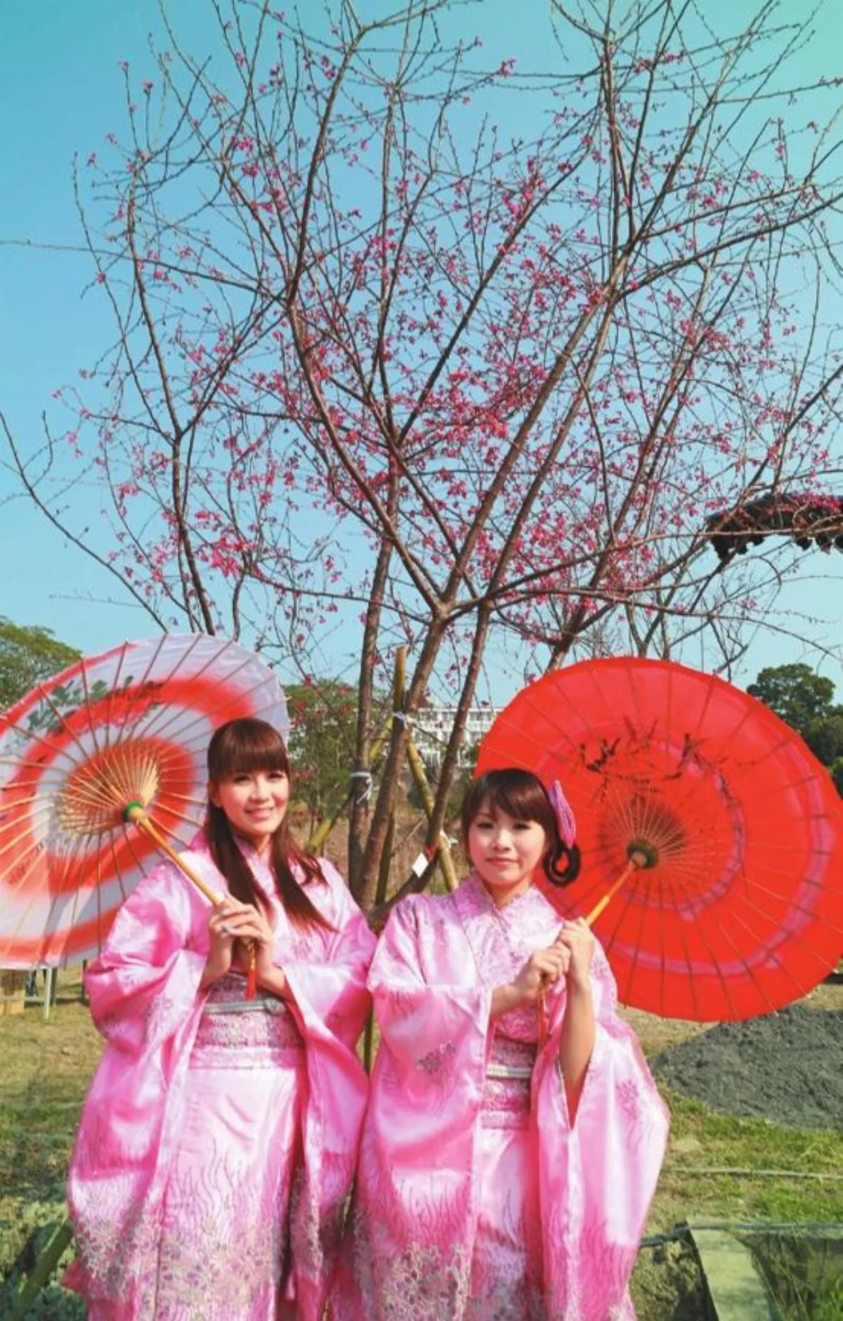烏山頭賞櫻日本風情