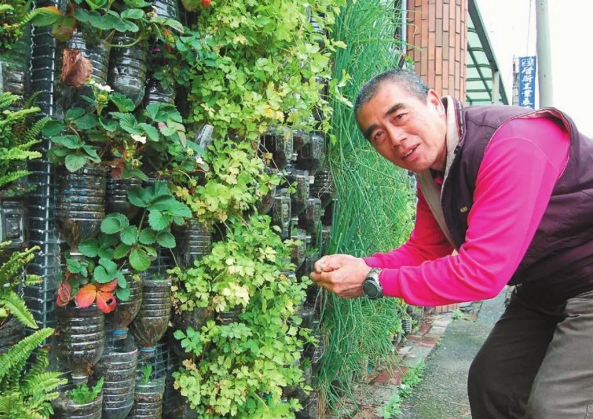 【社區部落格】環保綠牆種菜 為社區老人加菜