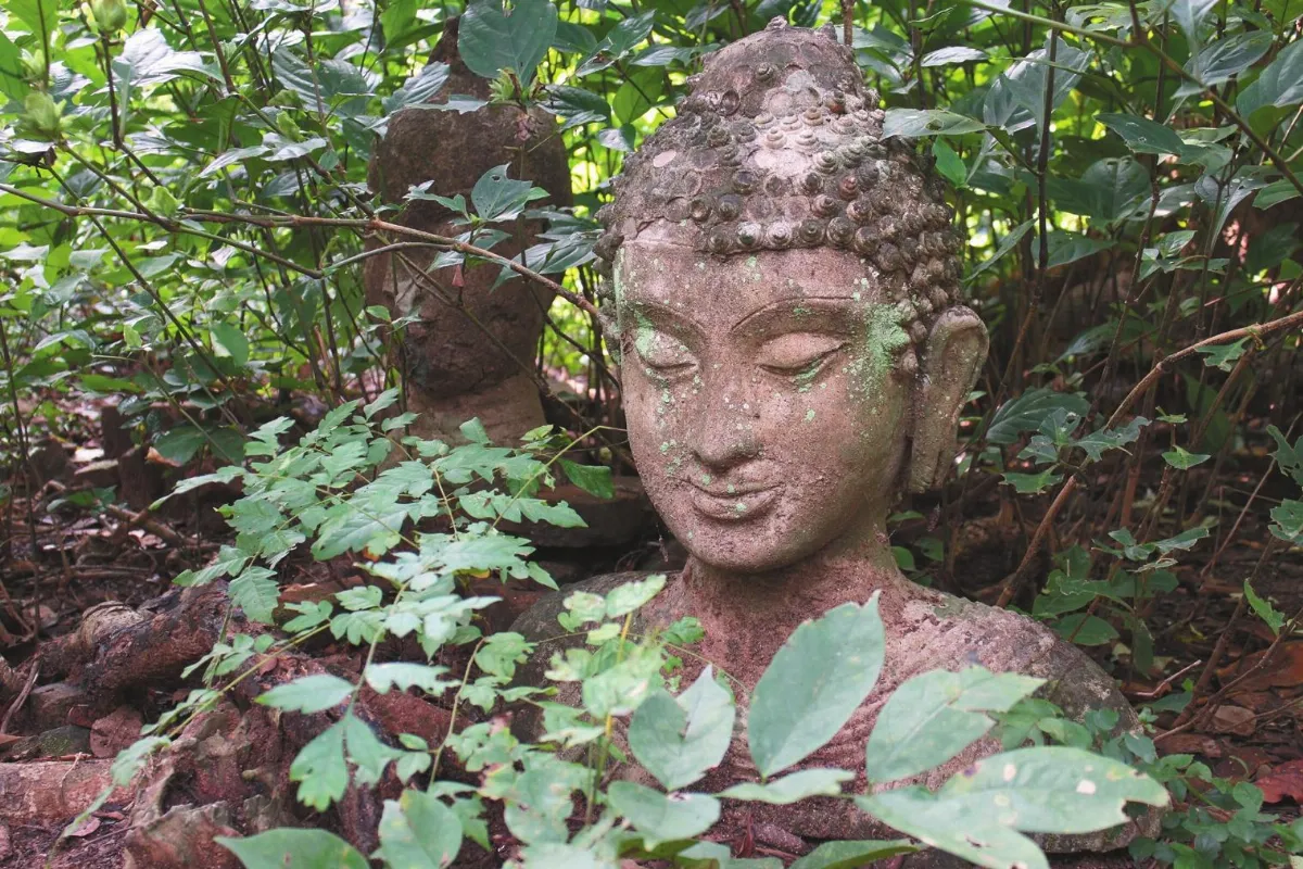 在佛法的屋子裡 清邁無夢寺7 比鄰