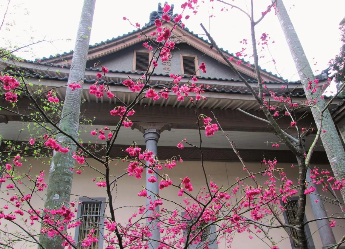 ◆生活快門 古剎櫻花