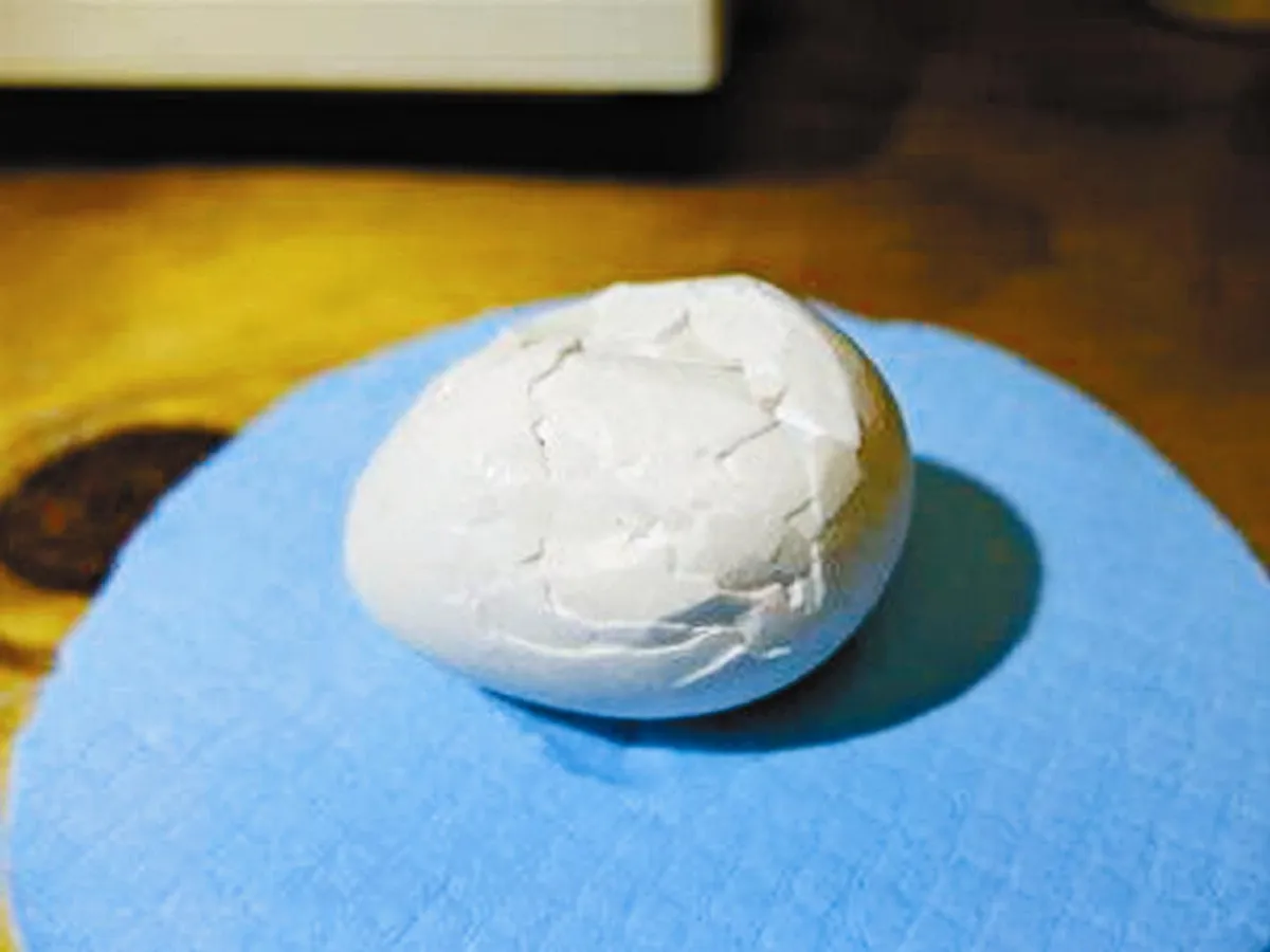 救蛋任務　膠水黏破蛋　孵出鴞鸚鵡