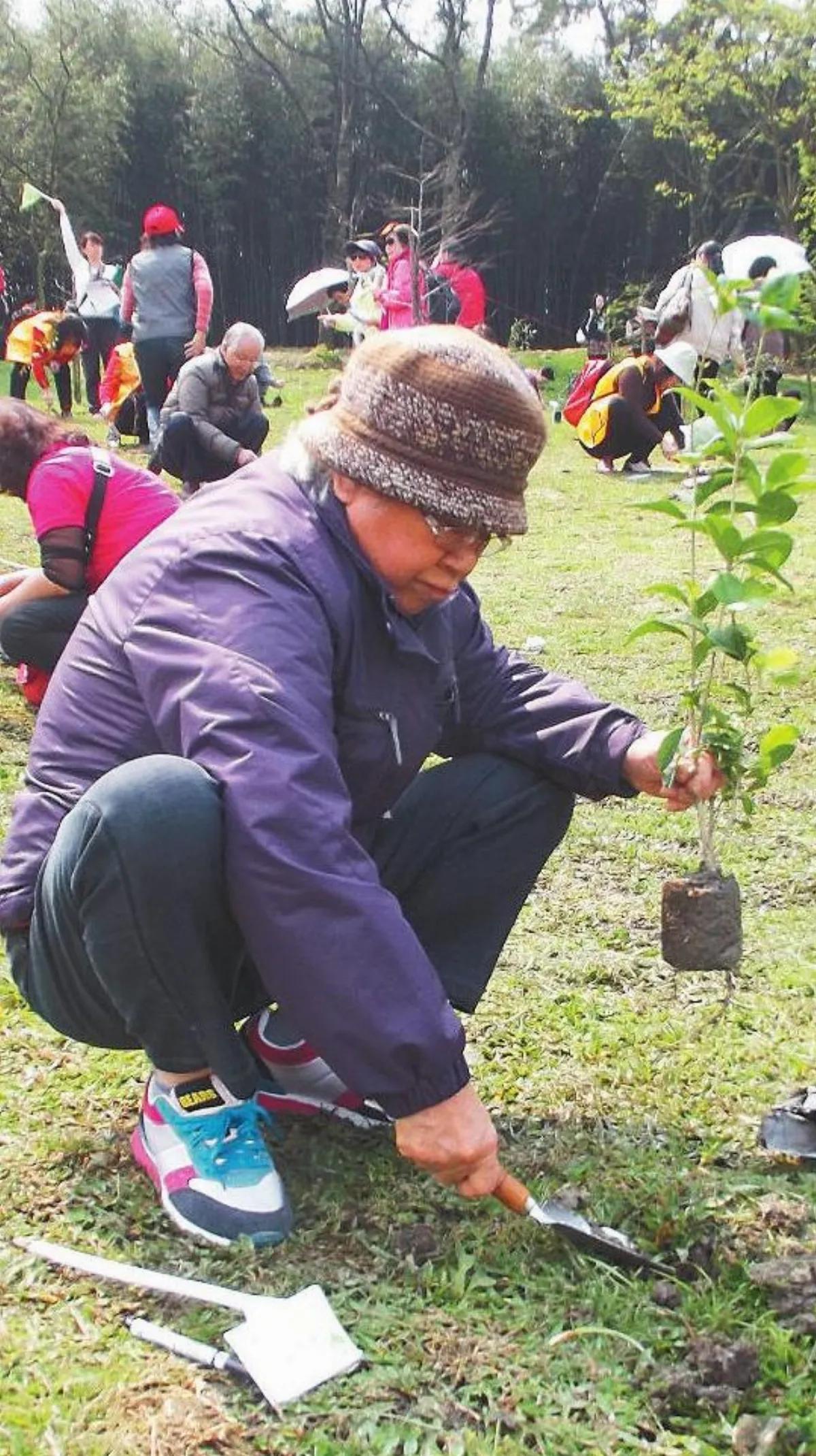 把水留住 富里植樹300株
