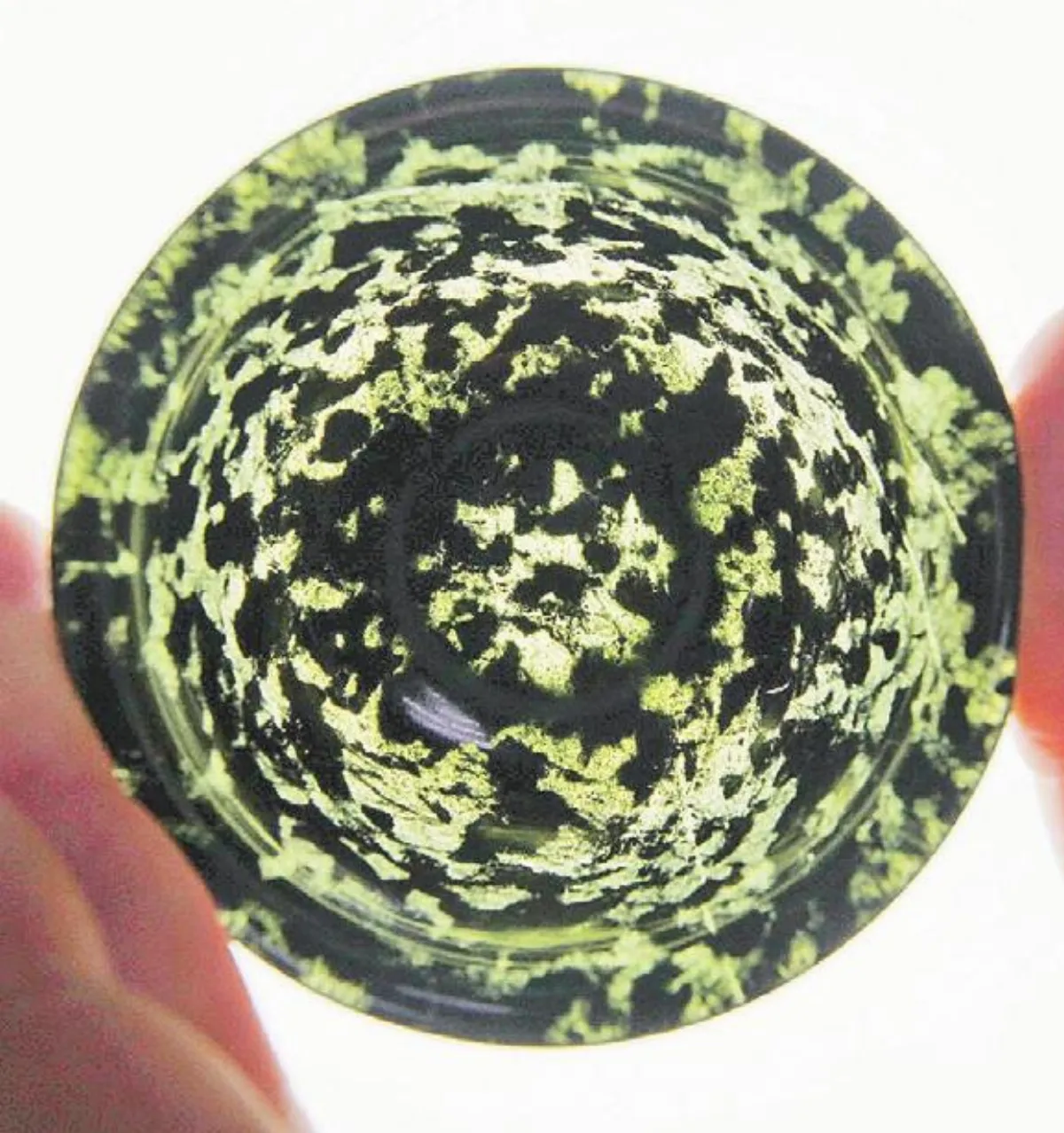 擁有特殊美 台灣新寶貝墨玉