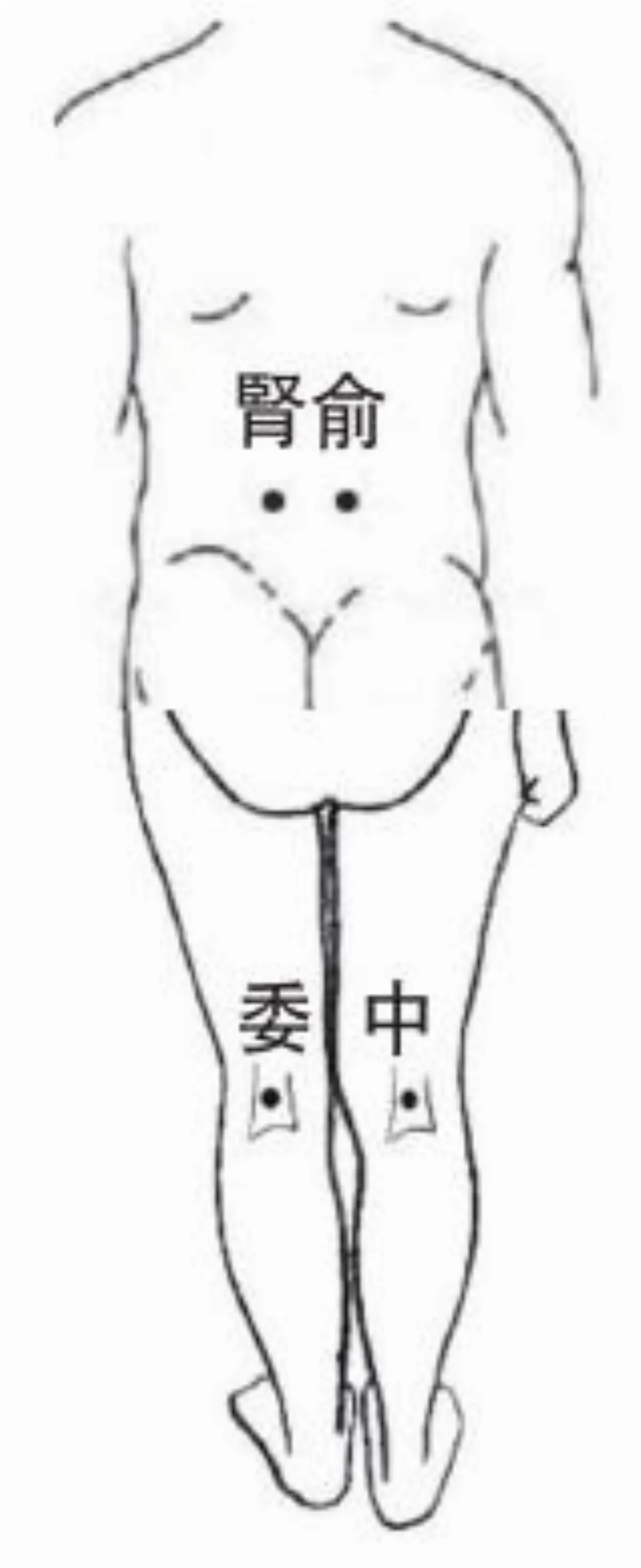 【中醫養身館】 腰痛惱人 治療有方