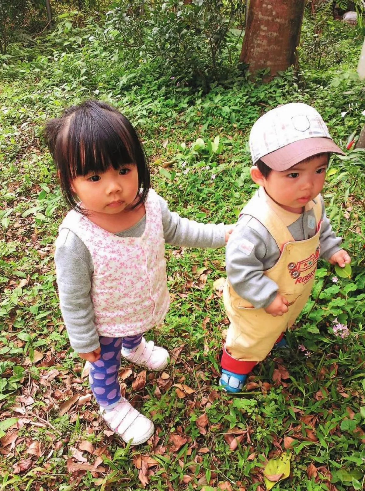 山居樂活 春天小精靈 Spring Angel in Nature
