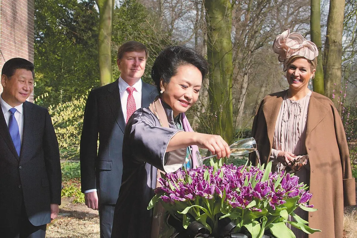 習近平會荷總理推動務實合作