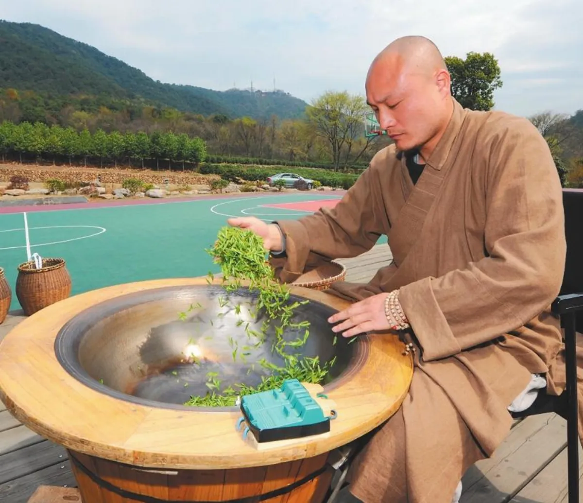 杭州法凈禪茶 採收灑凈