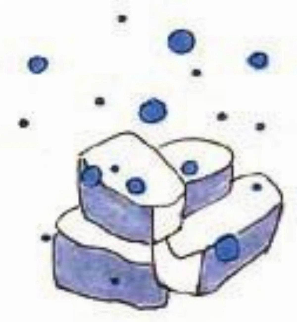 ◆阿芬家事愛地球 香皂讓浴室 香噴噴