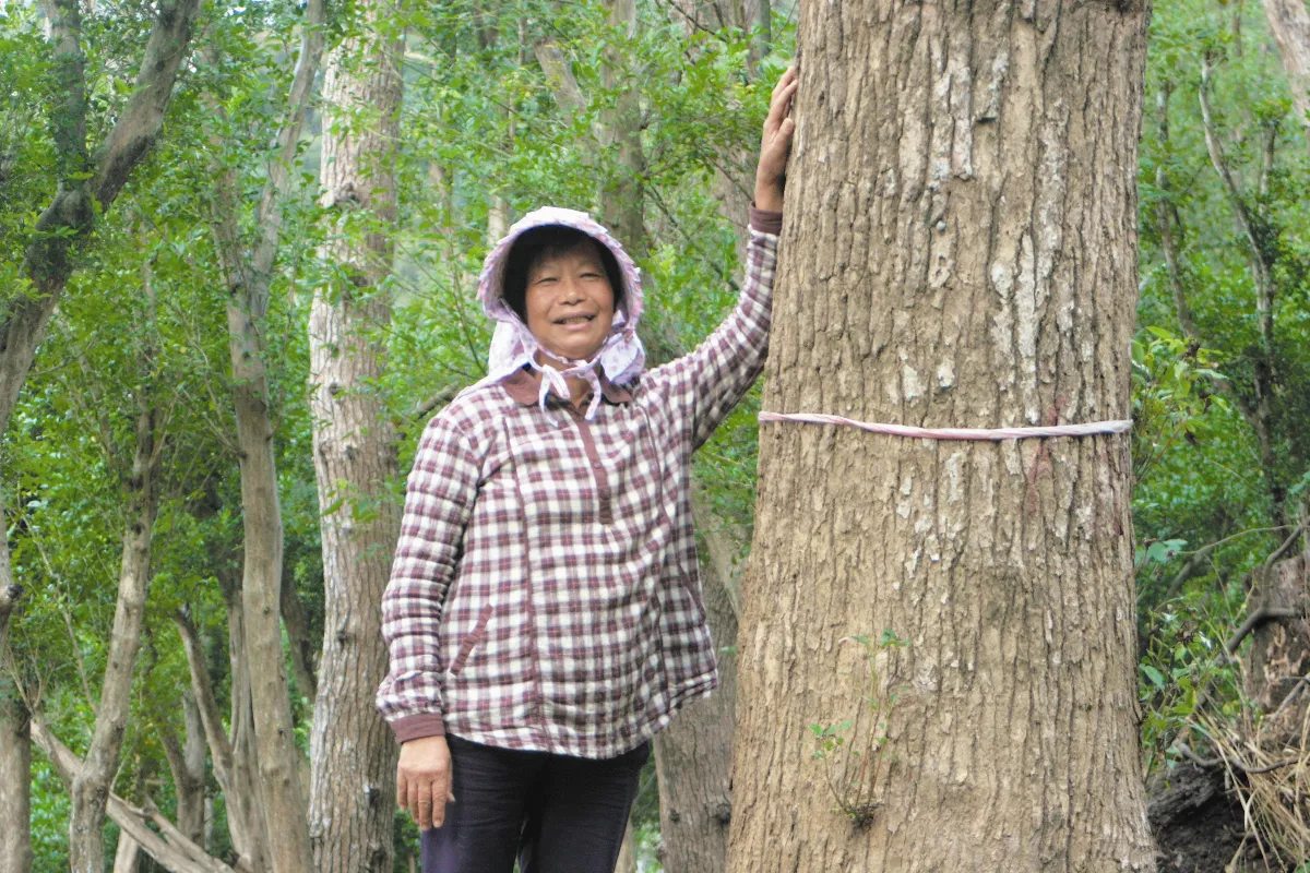 父母是孩子的 生命啟蒙先驅 上