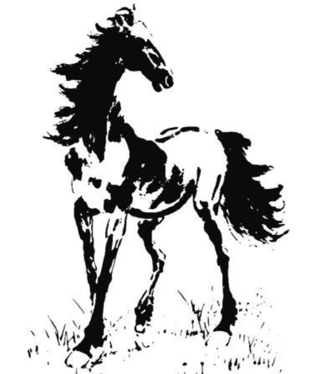 馬年話馬 唐詩裡的馬