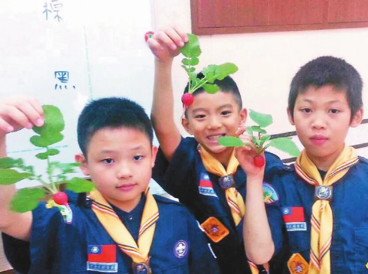 種櫻桃蘿蔔收成生命教育