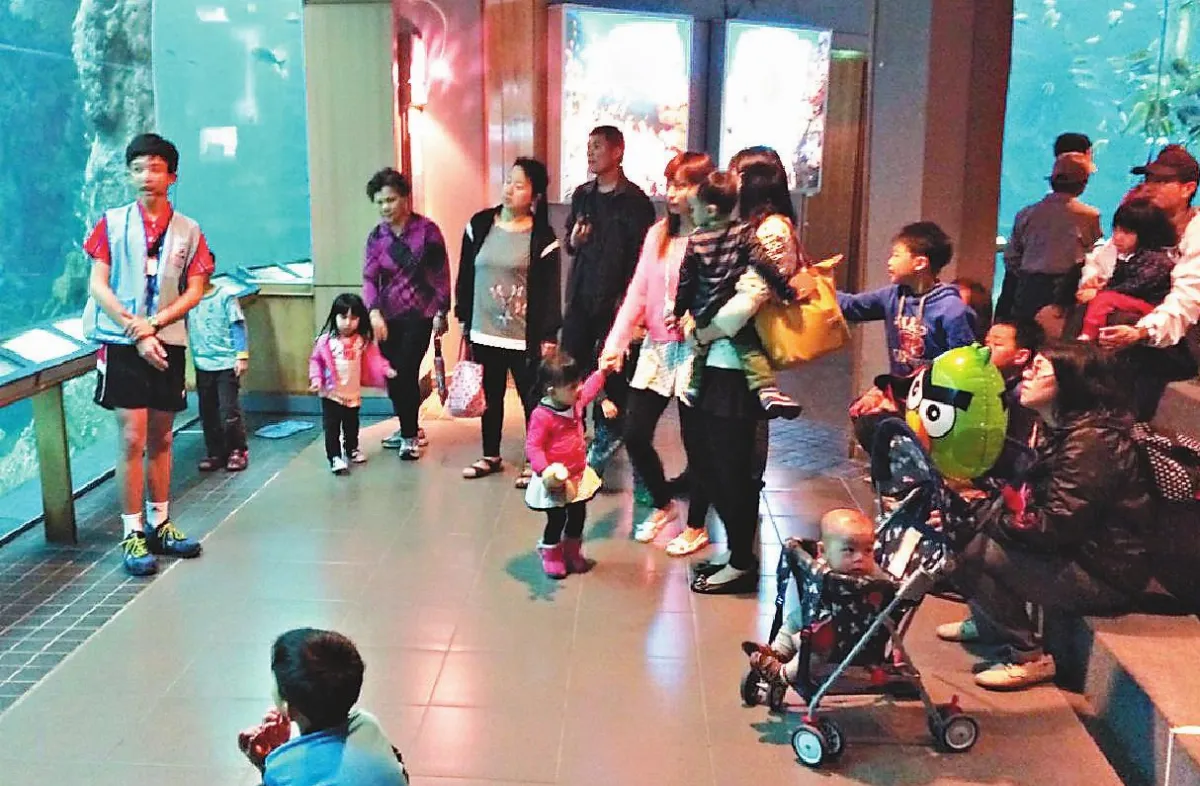 小小解說員 導覽澎湖水族館