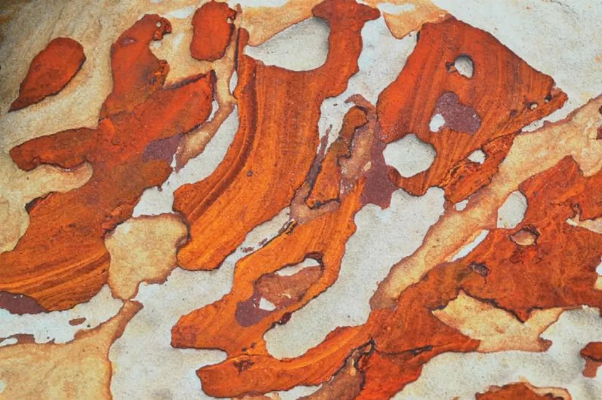 印象．旅人 海的圖畫