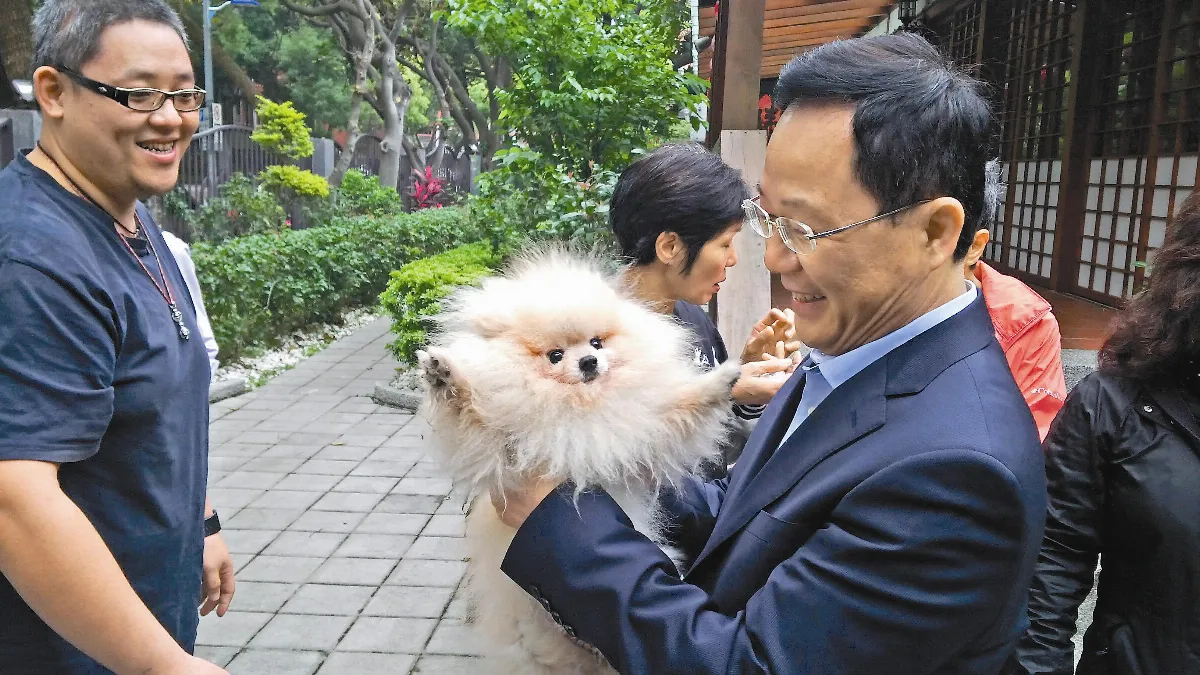 搶救米格魯 為遊蕩動物 架幸福轉運站