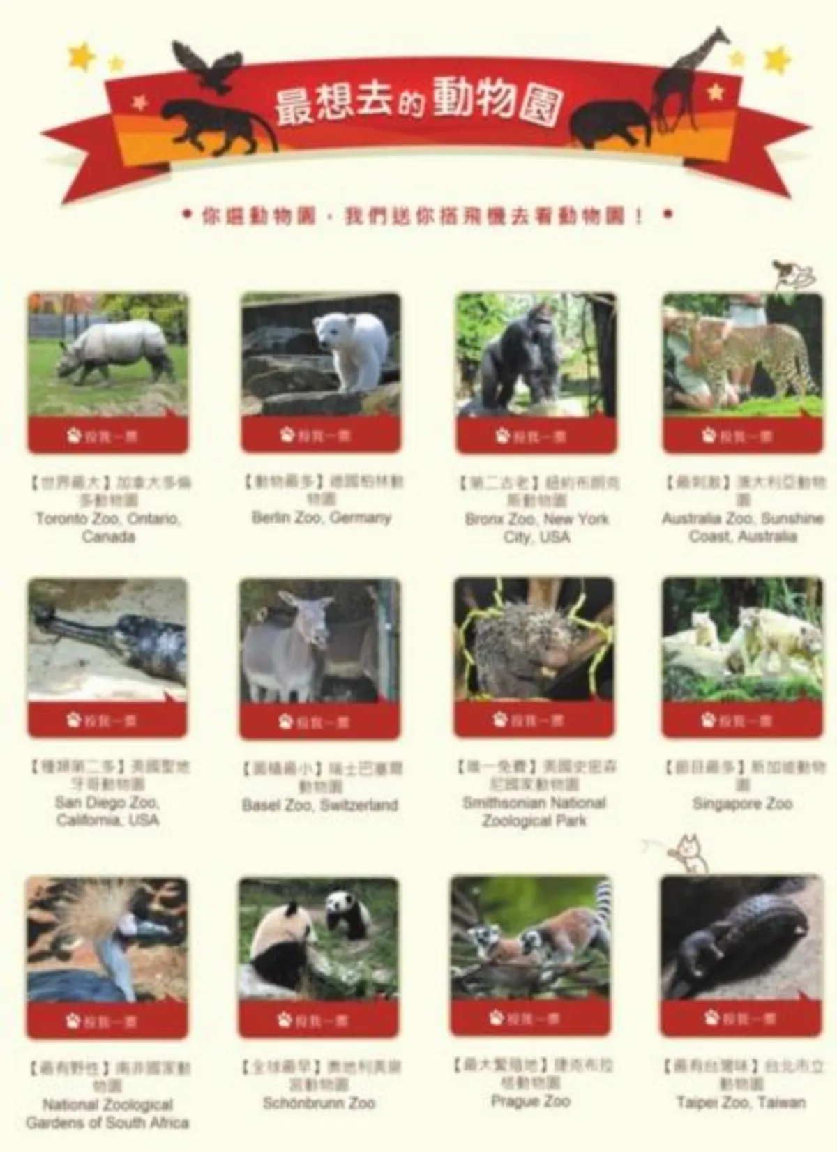 台灣動物新聞網 票選贈機票