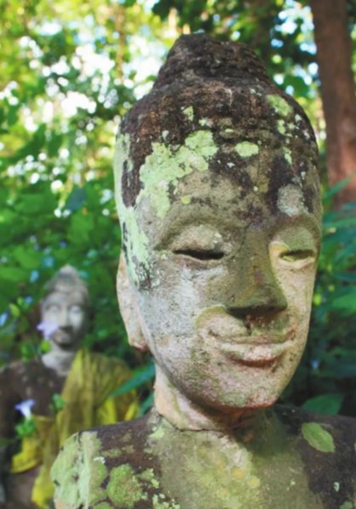 在佛法的屋子裡清邁無夢寺12  自在