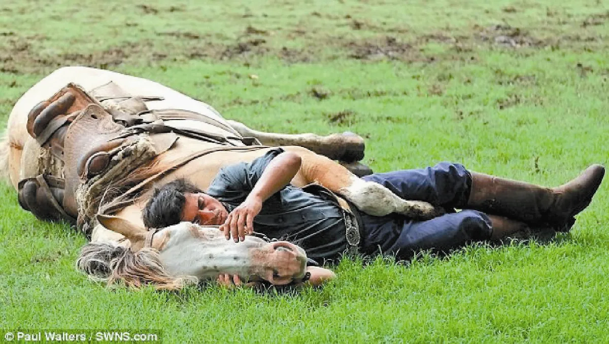 馬丁與馬親密談心