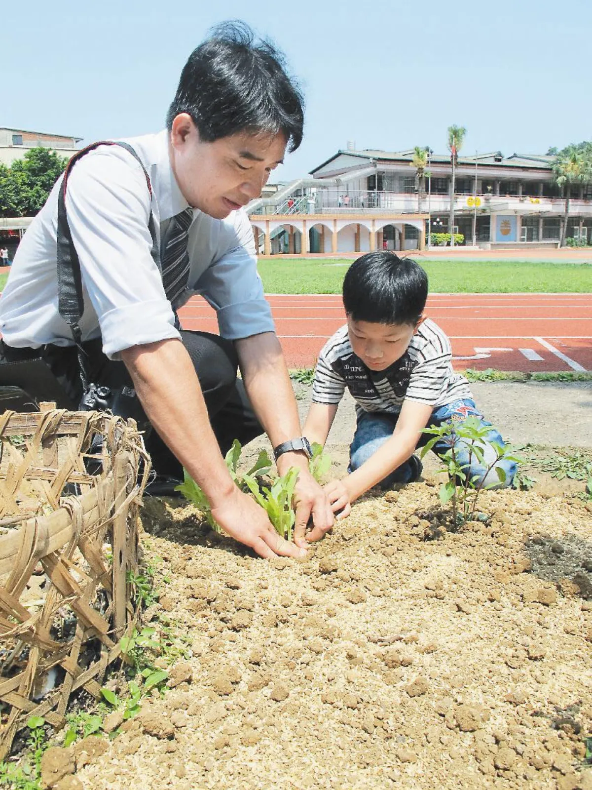 活化校園 校園廚餘活化 種有機火山菜
