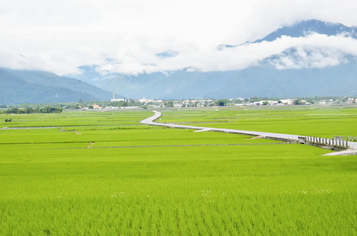 池上天堂路 登錄文化景觀