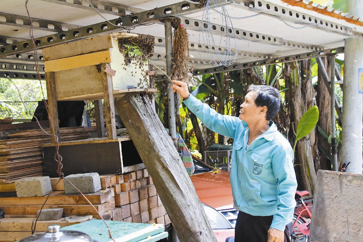 70歲徐盛康 野生蜜蜂當寵物