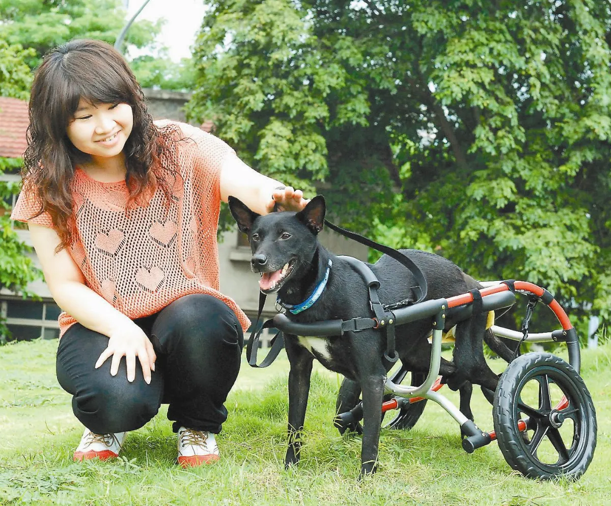 為棄犬覓新生 徵求護犬大使