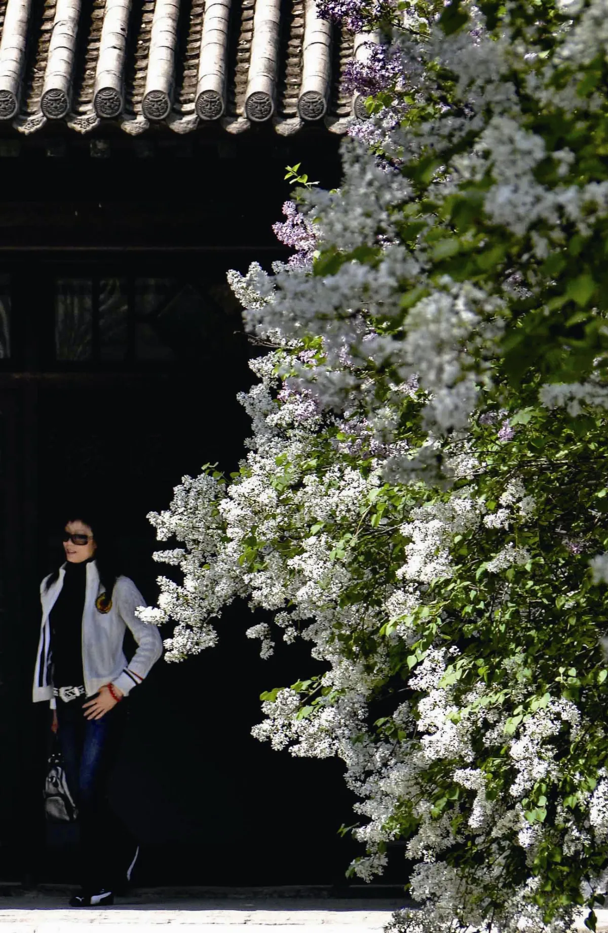 黛媽咪幸福花園 直視生命中 無可迴避的痛