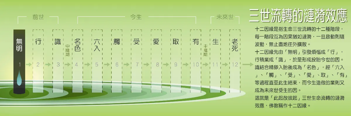 生命，我懂了