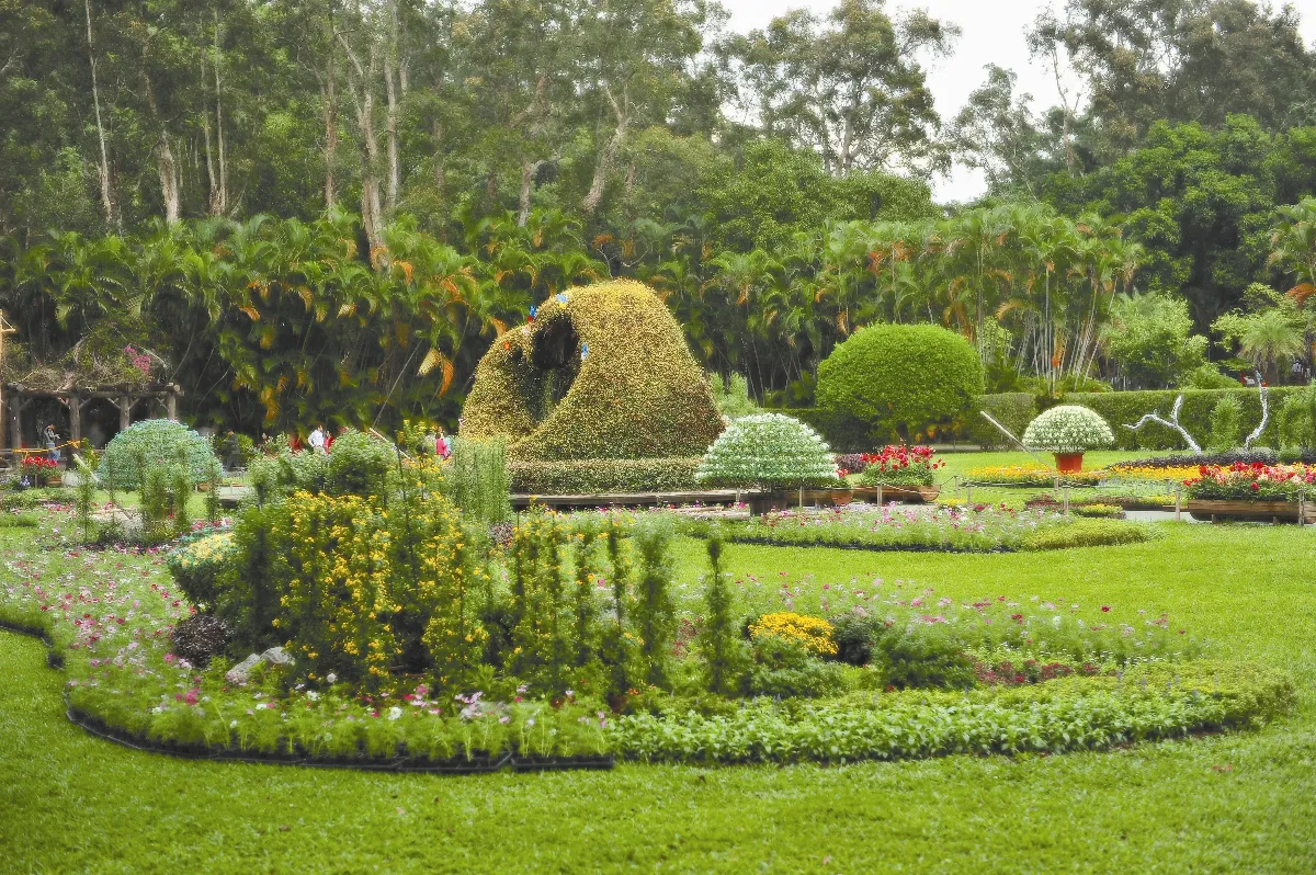 愛他，不就是要他 過得舒適嗎？