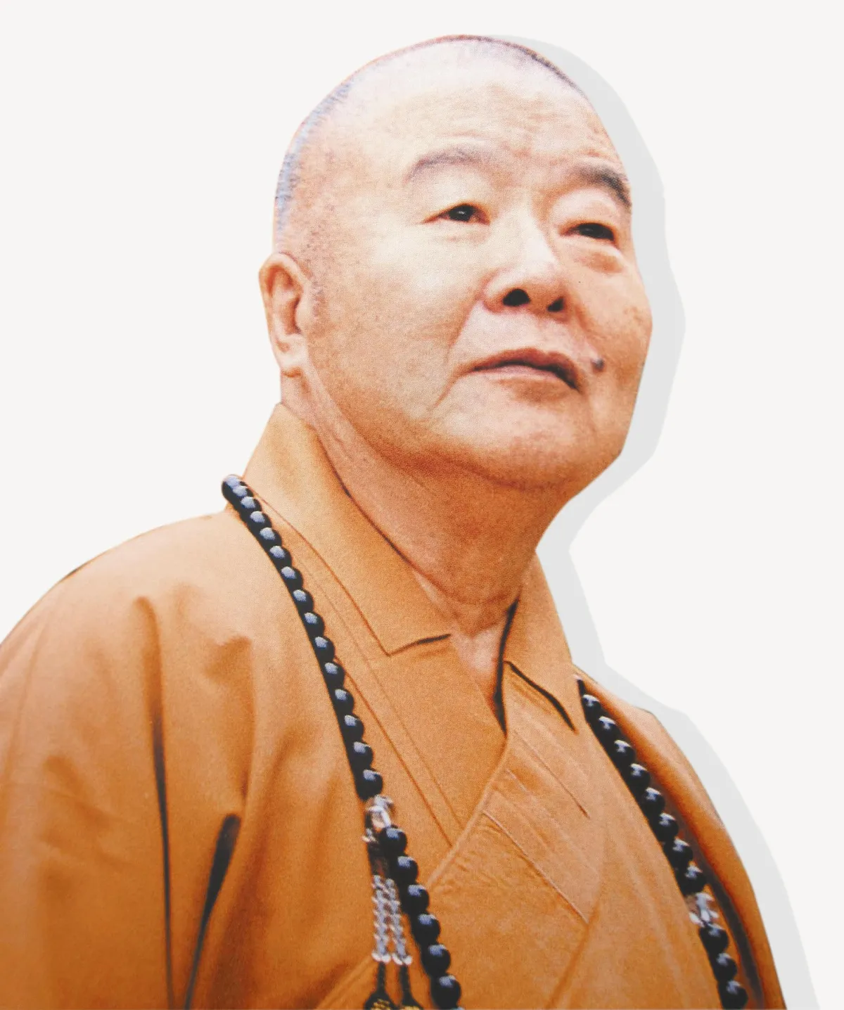 人間百年筆陣  吾言有罪