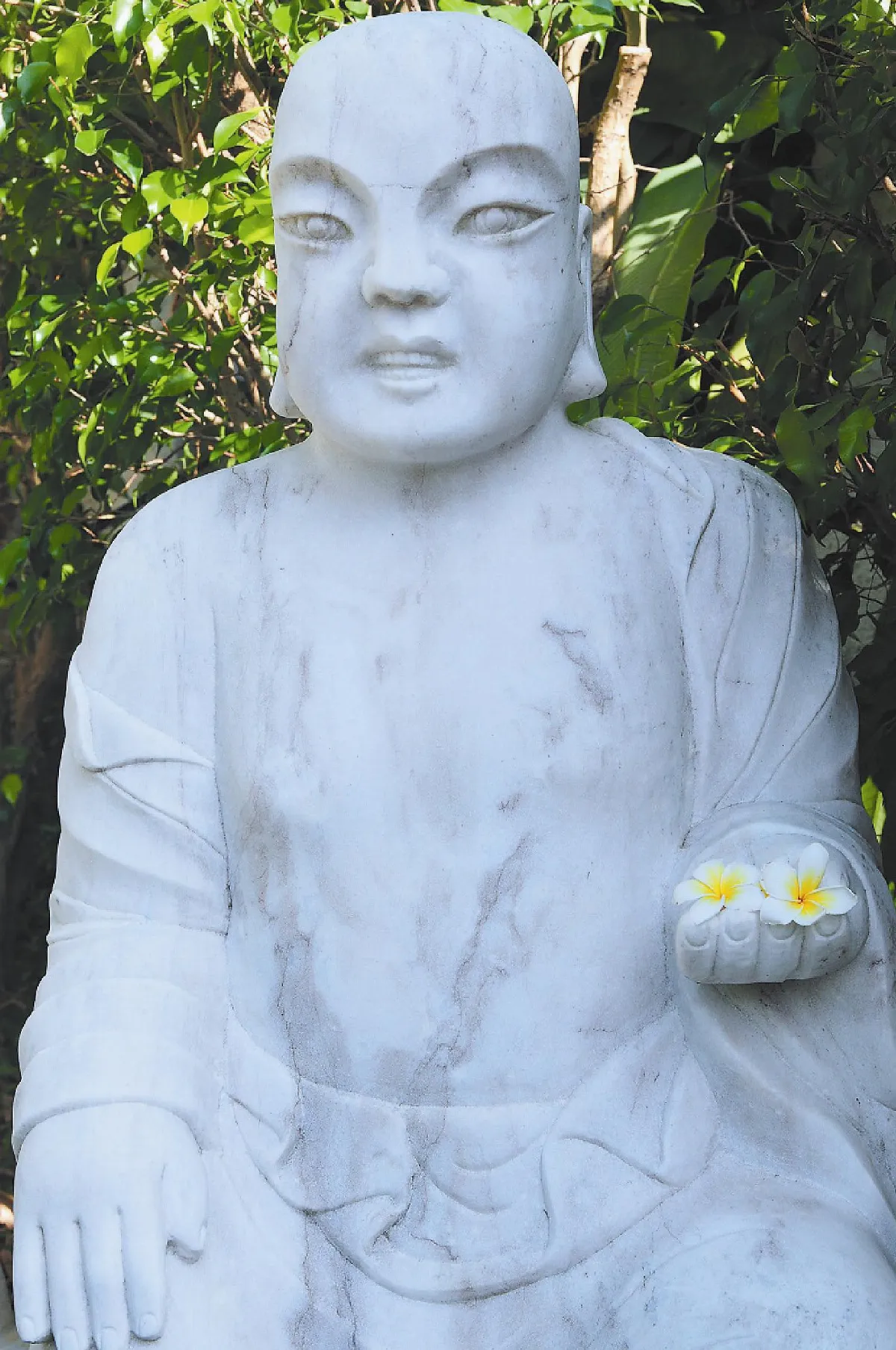 福慧心得 福慧接送情
