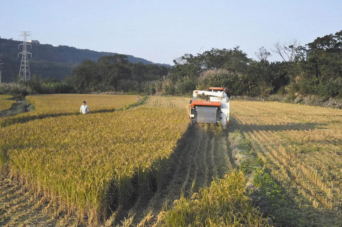 無能名焉隨想錄 大家來畫畫吧！ 寫生樂