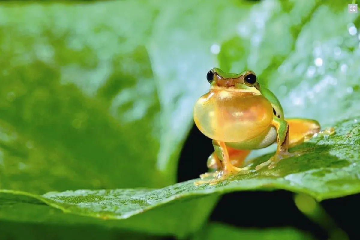 展│覽│訊│息