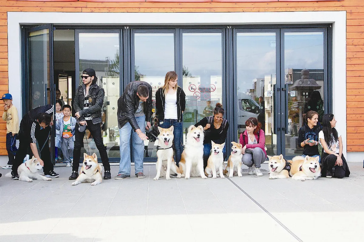 秋田之友 相約法華禪寺