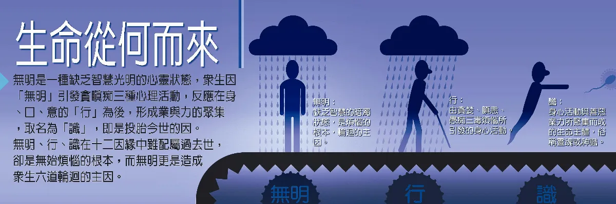 生命，我懂了