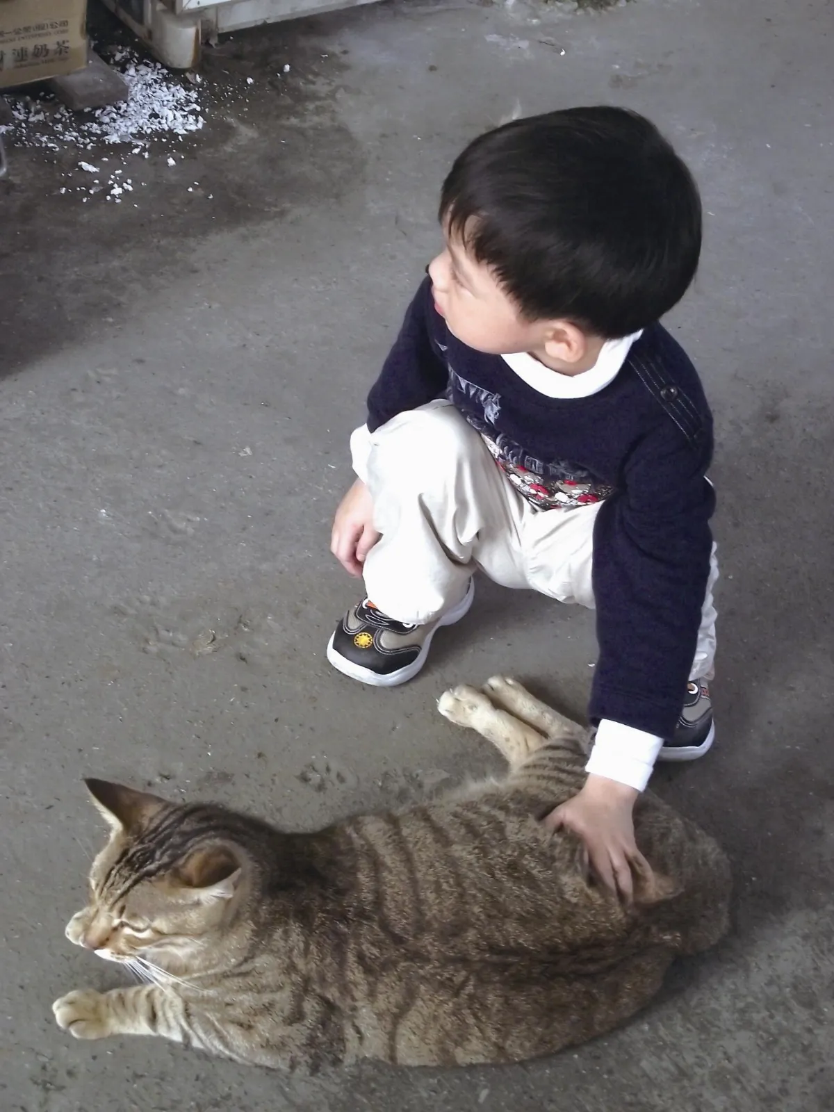 生活快門 小男孩的探索