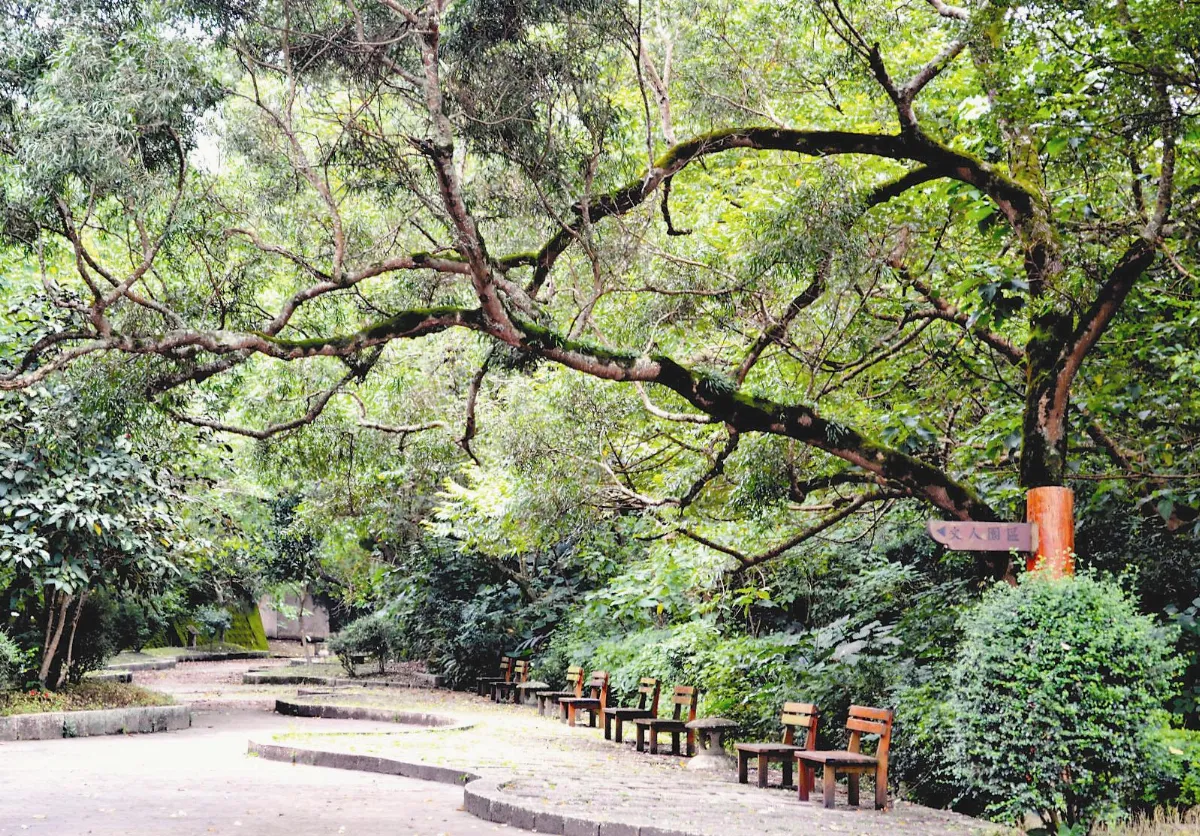 6月 城市快門 閒步偶得