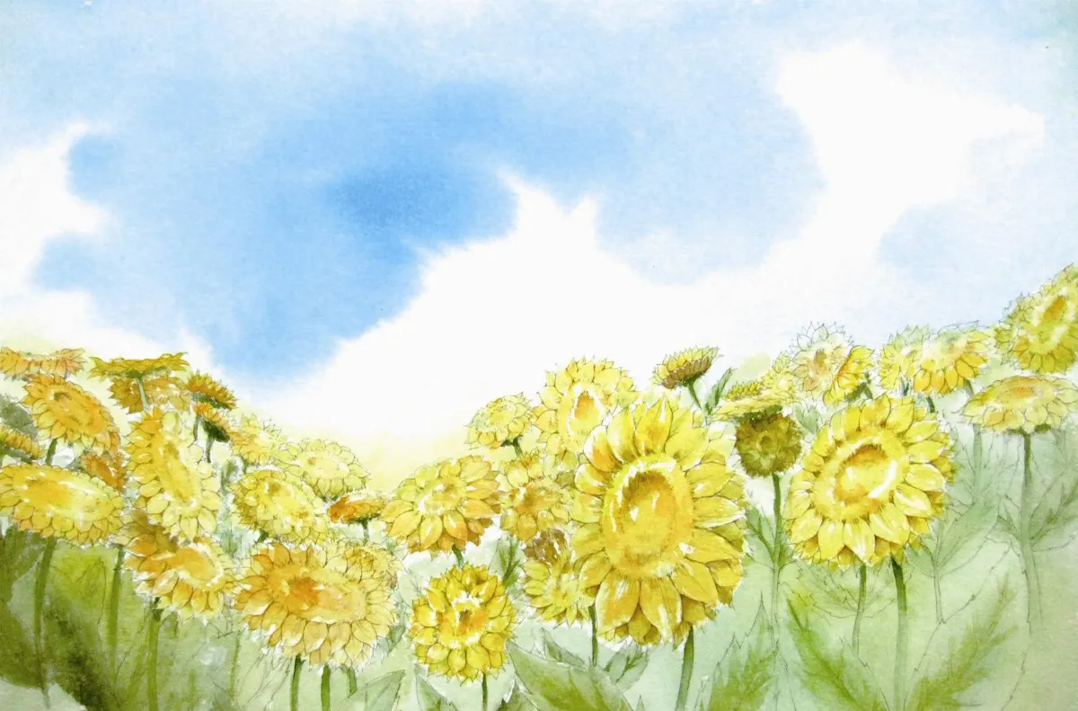 青春部落金色太陽花