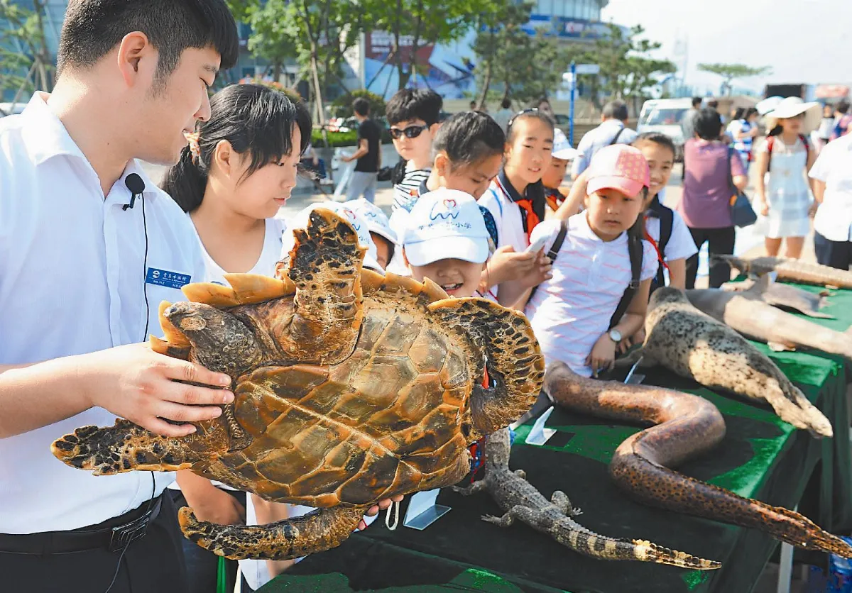 世界海洋日 關懷生命之母