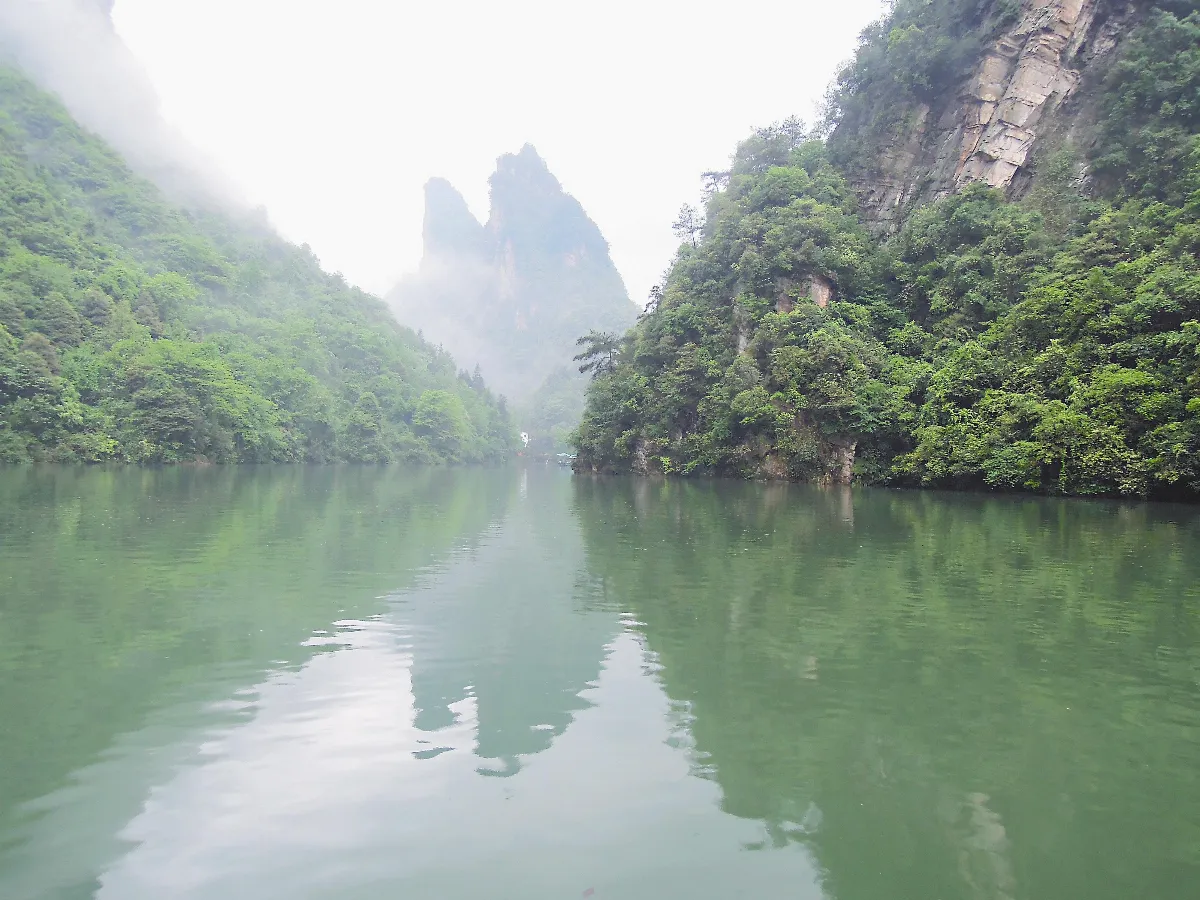 賞那朵衡山上的白玉蘭