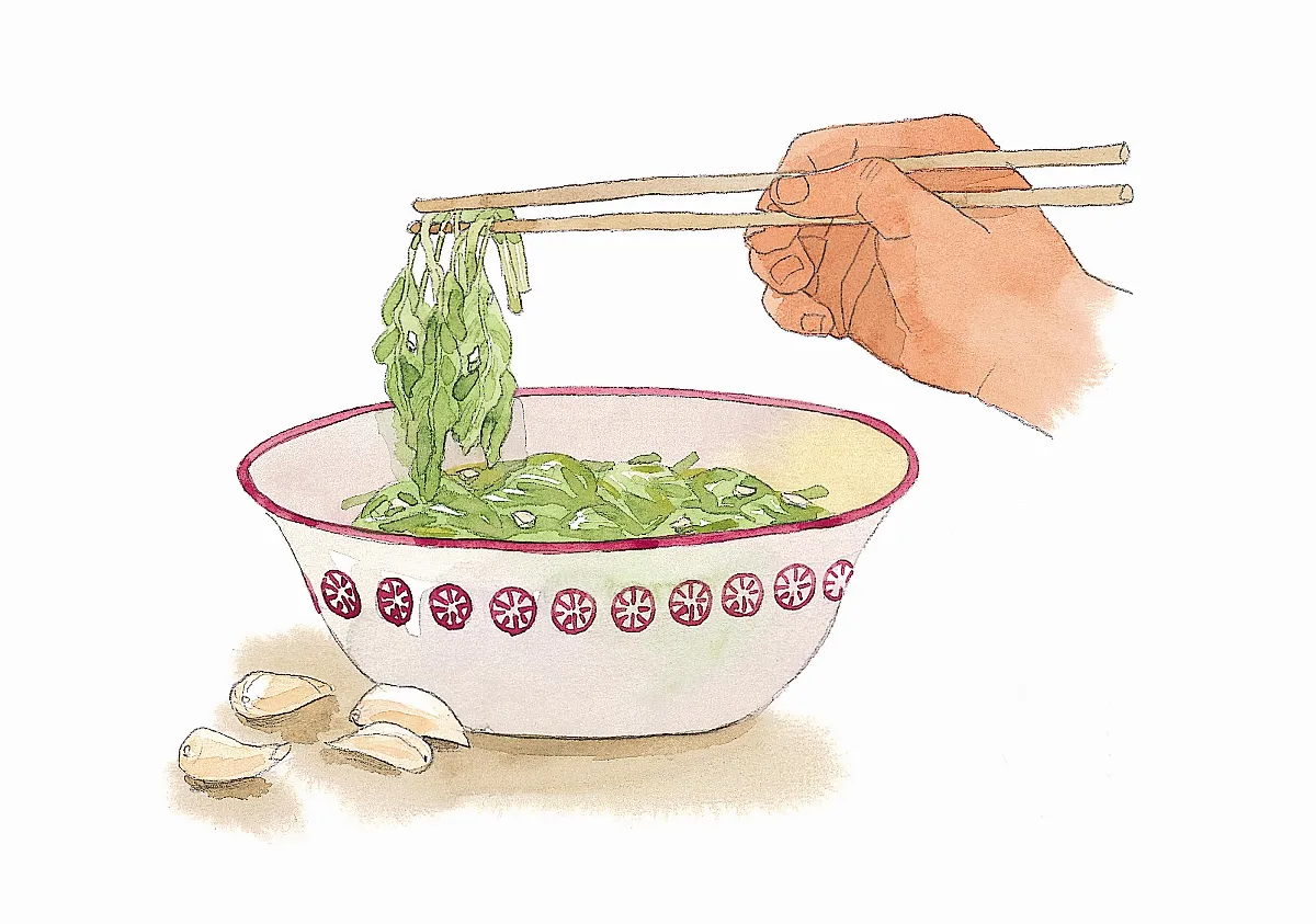 野地食堂 野菜佳餚昭和草